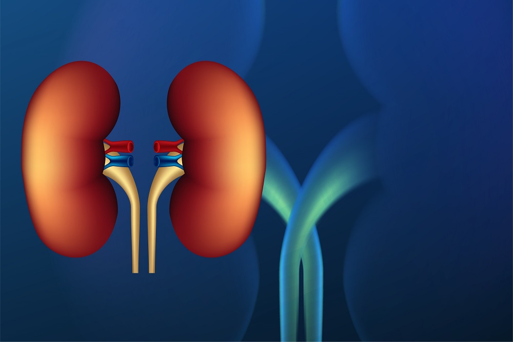 Advanced Urology Treatment in South Delhi at Batra Hospital